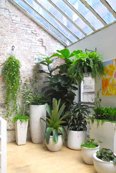 Interior Garden